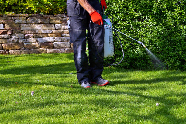 Best Lawn Pest Control  in Stone Park, IL